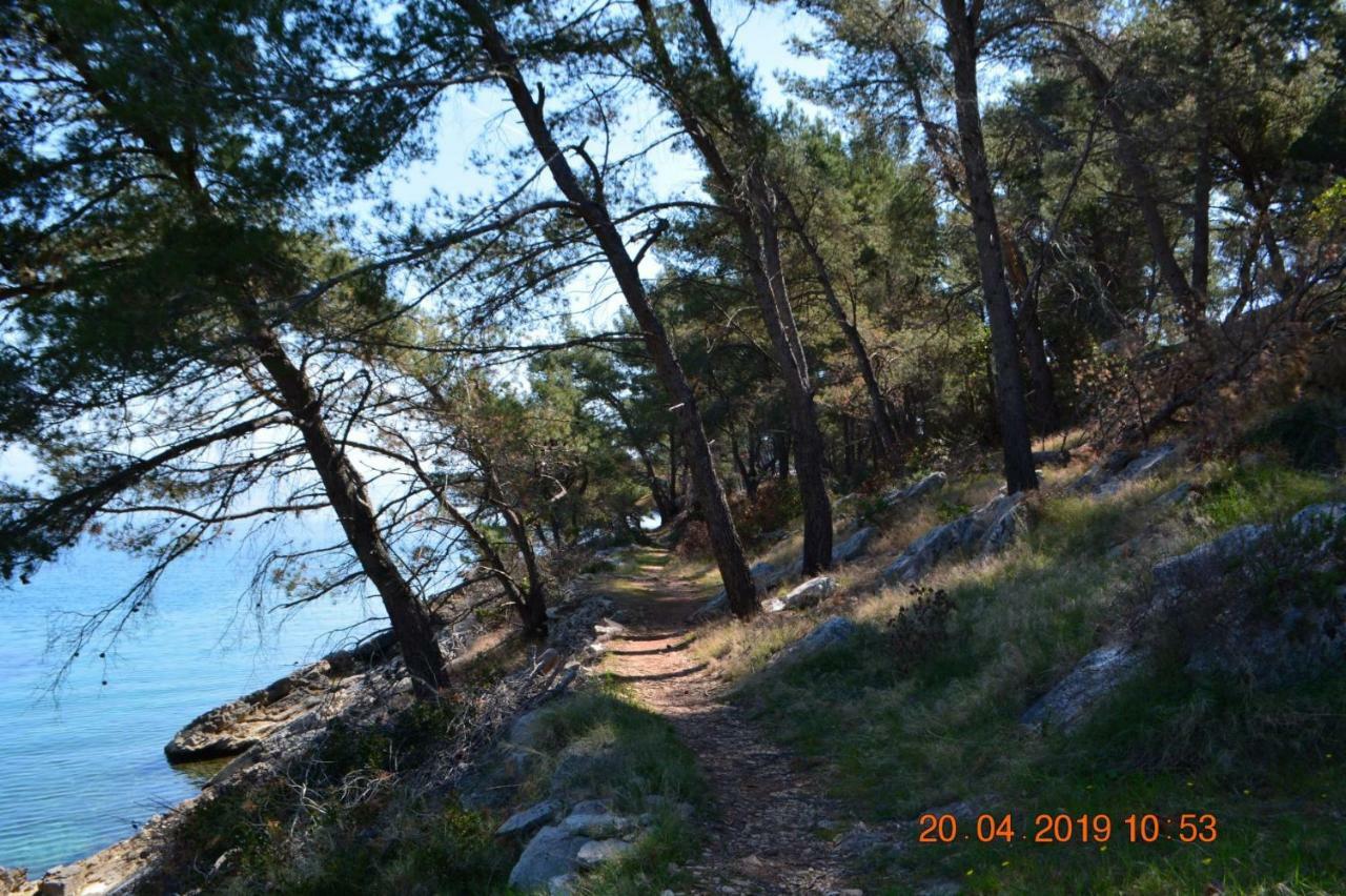 Sealodge - Luxe Villa, Private Pool, Mooring, Parking, Sea & Mountain View, At 150 M From Idyllic Private Beach Rogač 외부 사진